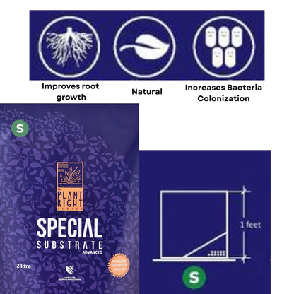 The Plant Right Series Special Substrate | Vibrant Aquatic Plants | The Ultimate Solution for Aquascaping Enthusiasts (2 L - Small)