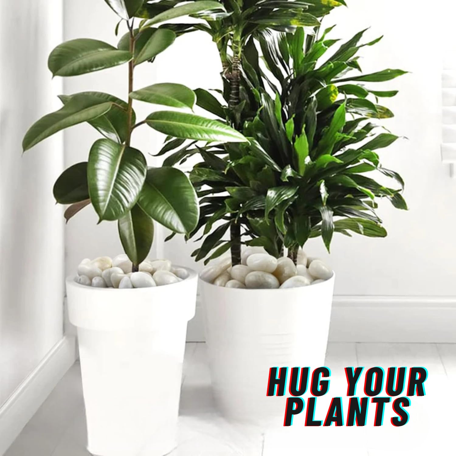 TUNAI Pebble Stones Substrate for Fish Tank, Aquarium, Terrarium, Paludarium (1KG) for Office and Home Decor, Plants and Other Purpose (White, Standard)