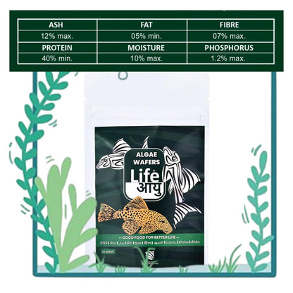 Life AAYU Algae Wafer Fish Food | Zucchini & Dandelion Formula for Plecos and Algae Eaters | Improves Digestion & Water Clarity (15 GMS)