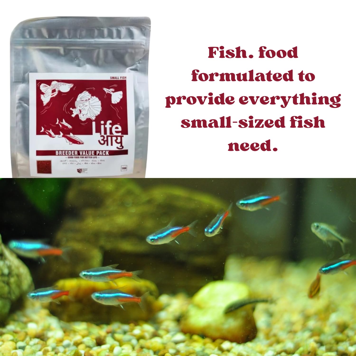 Life AAYU Breeder Value Pack Premium Fish Food | Ideal Choice for Keeping Your Fish Healthy (1 KG, Small Bits)