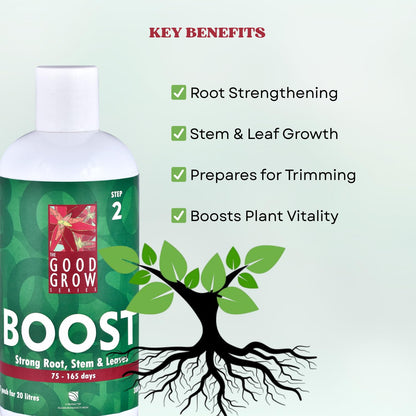 The Good Grow Series Boost | Strengthen Roots, Stem & Leaves | Promotes Healthy Plant Growth (300 ml)
