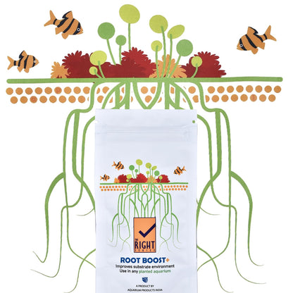 The Plant Right Series Root Boost + | Enhance Plant Growth and Root Development | (18 gms)