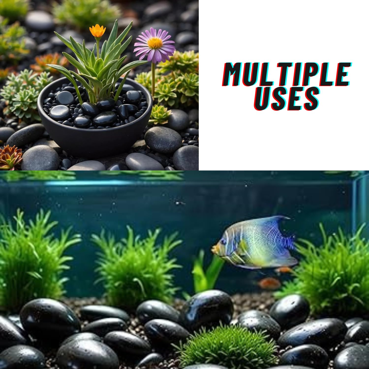 TUNAI Pebble Stones Substrate for Fish Tank, Aquarium, Terrarium, Paludarium (1KG) for Office and Home Decor, Plants and Other Purpose (Black Only, Standard)