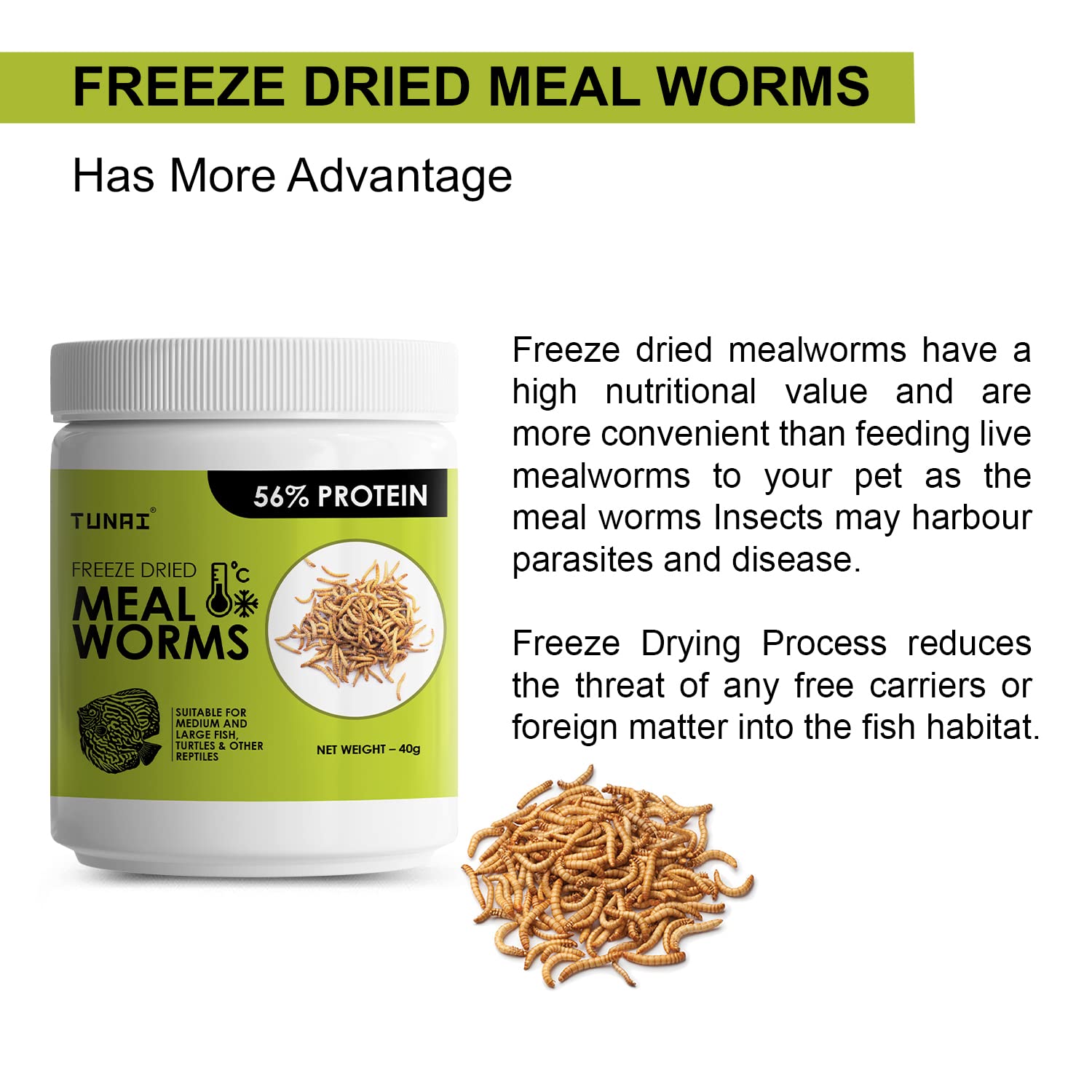 Tunai Freeze Dried Meal Worms with 56% Protein |40g| Fish Food for Arowana, Oscar, Red Parrot, Flower horn, Turtle, and Tortoise