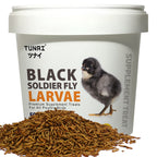 Tunai Black Soldier Fly Larvae | 500g | 60X Calcium, Fortified with 40% Protein Energy, Natural Supplement Treat for Poultry, Hen, Chicken, cockBaby Chicken