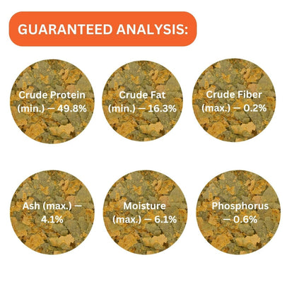 ON+ Cichlid Vegi Formula Flakes Fish Food (Original from Tunai Store) | Extremely Attractive Flavor for All Fishes (34gms, Flakes)