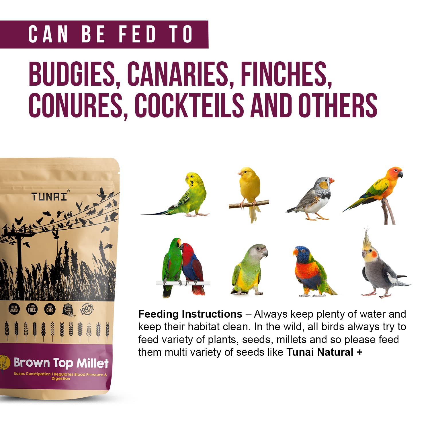 Tunai Brown Top Millets Bird Feed | 450g | Perfect Energy Booster Bird Food for Canaries, Finches, Budgies, Conures, Cockatiels, Small Conures, Quaker Parrots & Others