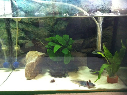 Sobo Sb-933 Aquarium Sponge Filter (X-Small)