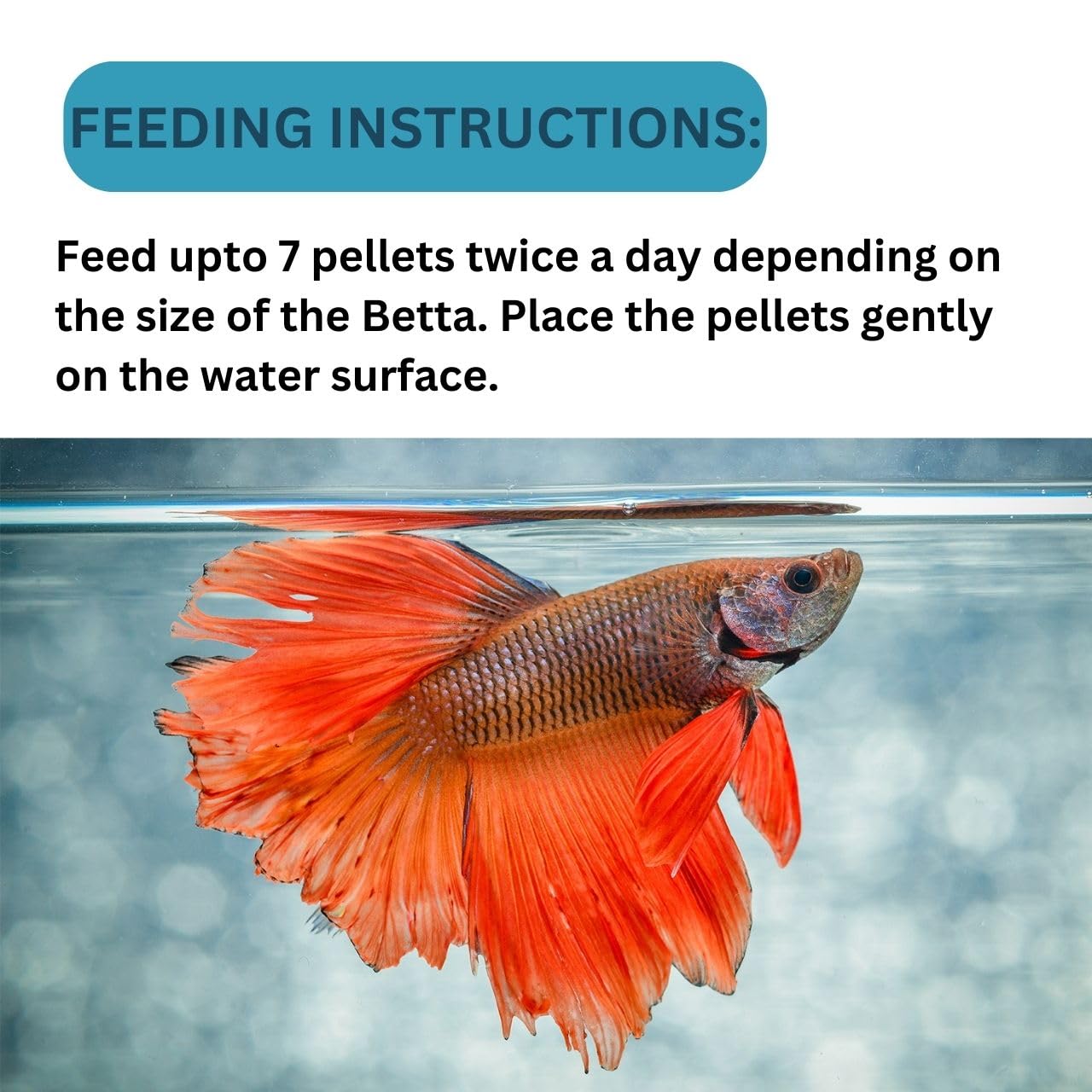 ON+ Atison's Betta Fish Food (Original from Tunai Store) | Nutrient Complete Food for All Betta Species (75gms, Floating Pellets)