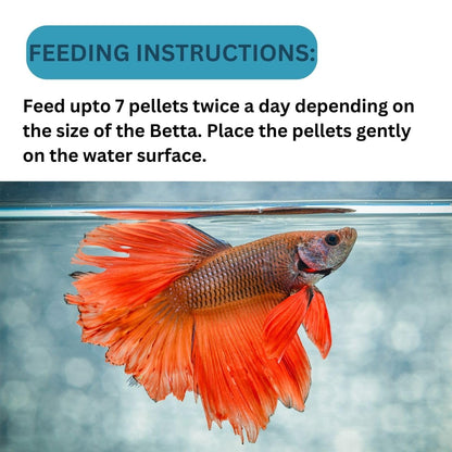 ON+ Atison's Betta Fish Food (Original from Tunai Store) | Nutrient Complete Food for All Betta Species (75gms, Floating Pellets)