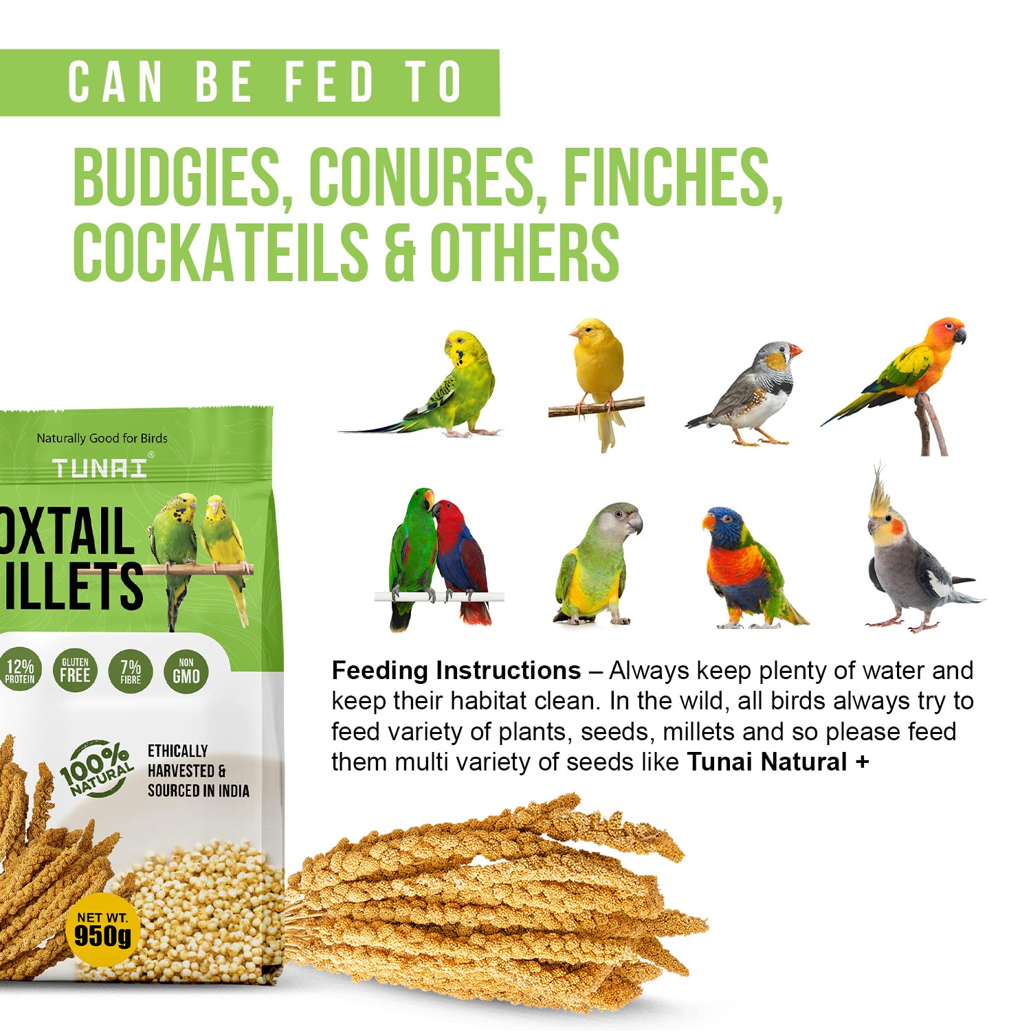 Tunai Foxtail Kangini Millets|950g|Superior Bird Feed For High Protein, Regulating Digestion, Absorption Of Minerals, High Fiber Millets Perfect Bird Food For lovebirds, canaries, cockatiels and Finches