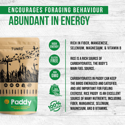 TUNAI Paddy Whole Grain Bird Feed |450G|Bird Food For Parakeets, Parrotlets, Conures, Eclectus, Senegals, Parrots, Cockatiels, Parrots, All Life Stages, Seeds