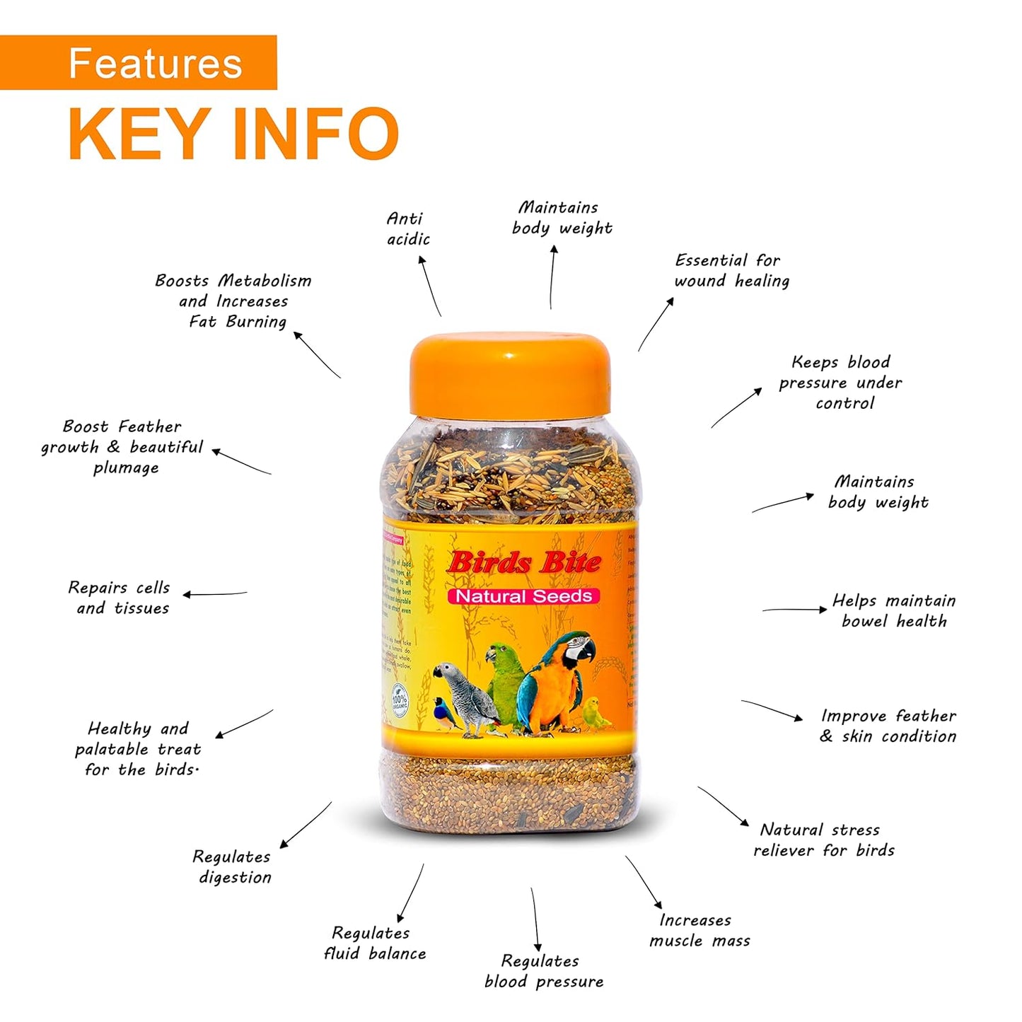 SF+ Natural Seeds Birds Bite | 1KG | Bird Food for All Birds Like Love Birds, Cockteils, Finches, Conures, Parrots, Macaws, Senegals, Parrots