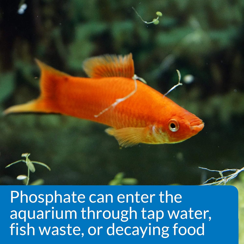 API Phosphate Test Kit, 136 gram