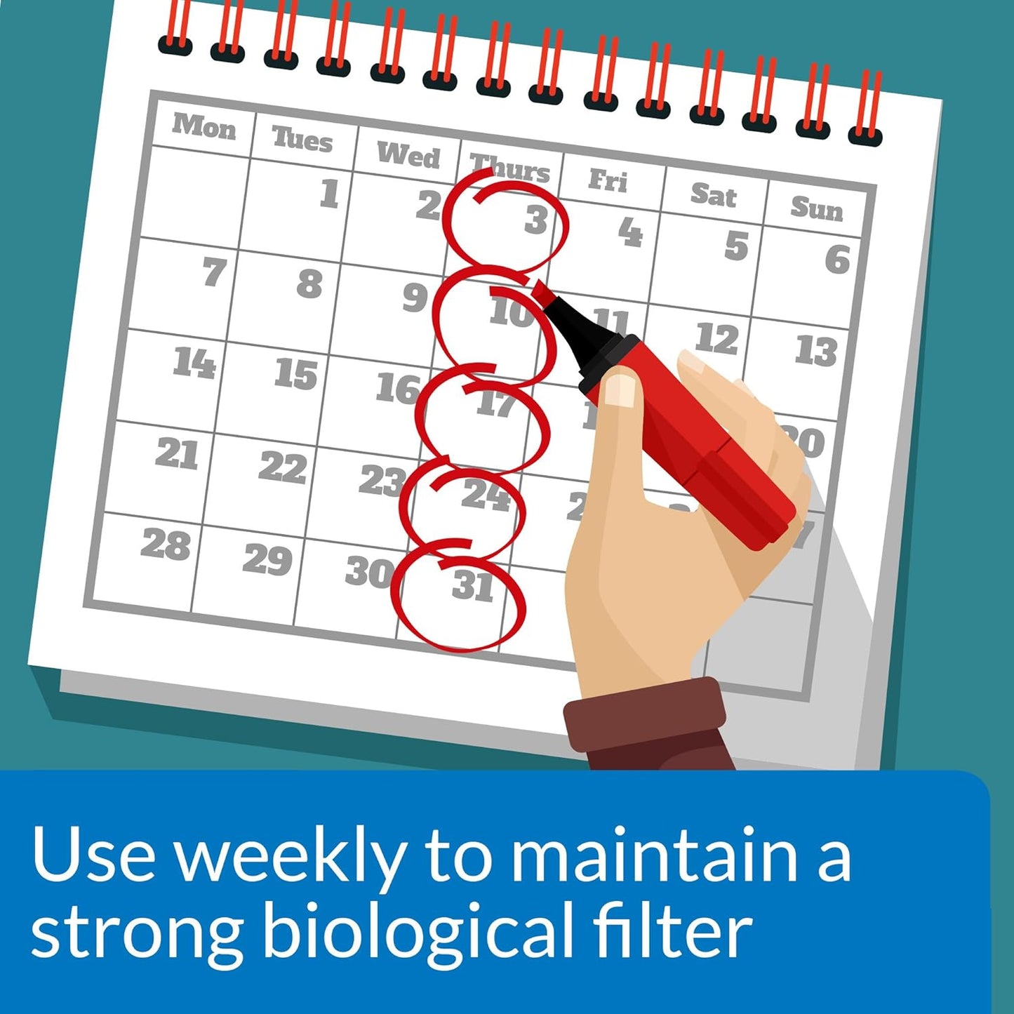 API Stress Zyme, 16 OZ / 473.18 mL