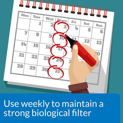 API Stress Zyme, 16 OZ / 473.18 mL