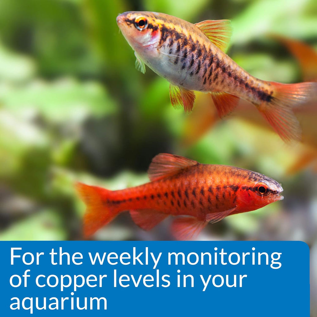 API Copper Test Kit - 90-Test Aquarium Water Analysis