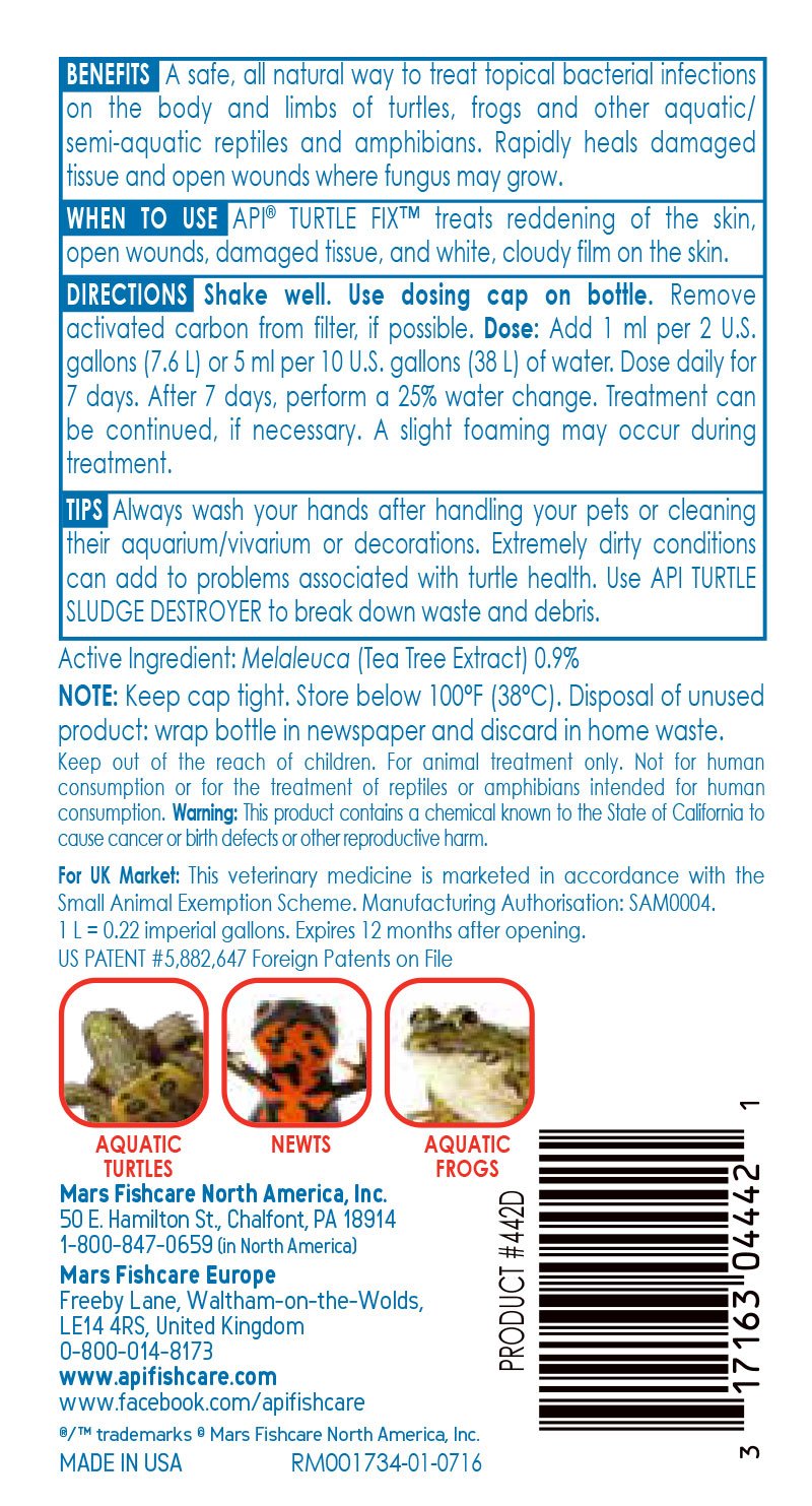 Api Turtle Fix - 118 ml