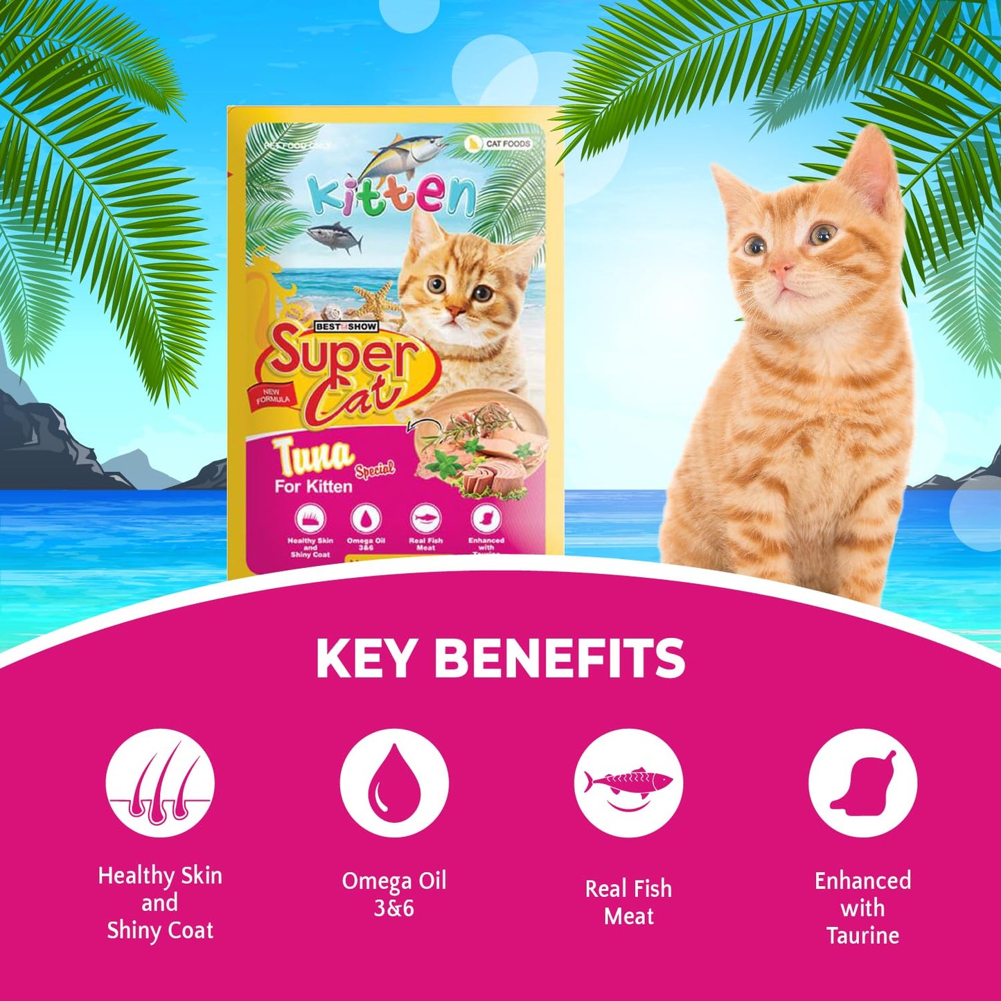TUNAI SUPERCAT Tuna Special Wet Gravy Daily Diet Food for Kittens (Pack of 12X80g) with The Goodness of Protein & Fat Rich Tuna and Taurine, Supports Healthy Skin Coat and Boost Instant Energy