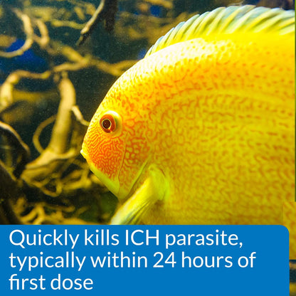 API Liquid Super Ick Cure, 150 Gram