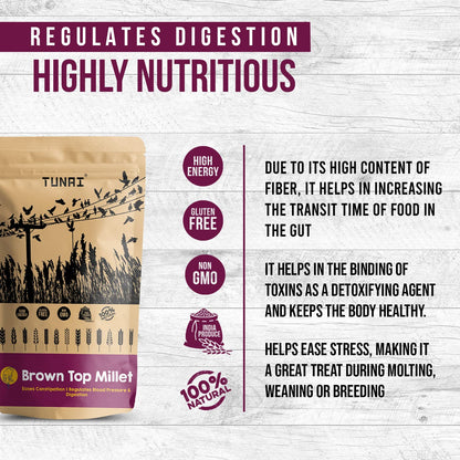 Tunai Brown Top Millets Bird Feed | 450g | Perfect Energy Booster Bird Food for Canaries, Finches, Budgies, Conures, Cockatiels, Small Conures, Quaker Parrots & Others