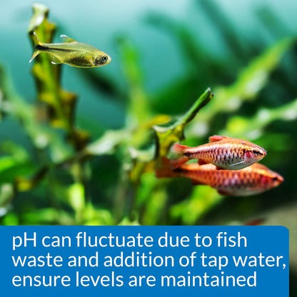 API Api Freshwater Ph Test Kit, 250 Tests Per Kit, 68 G, 1 Piece