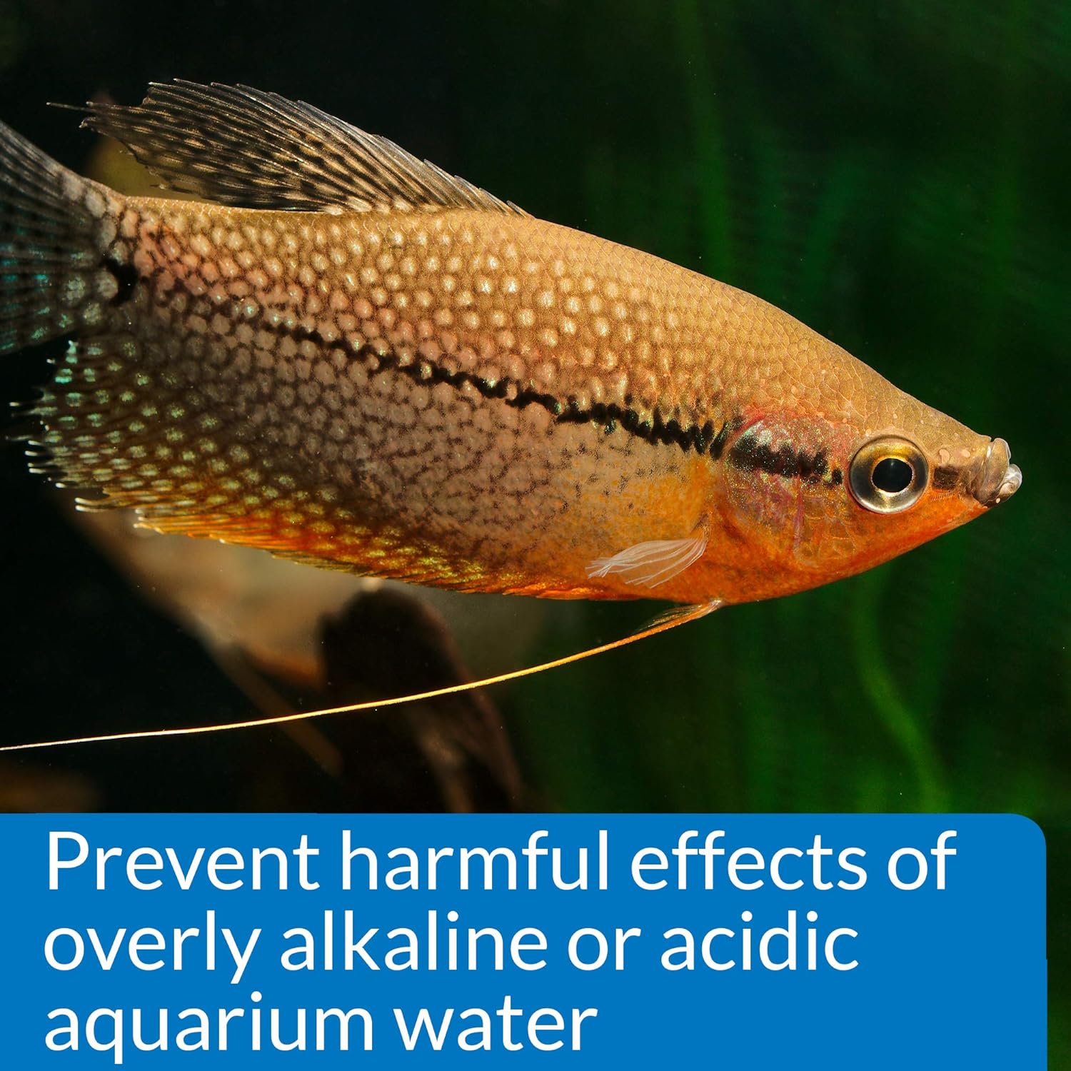 API Api Freshwater Ph Test Kit, 250 Tests Per Kit, 68 G, 1 Piece