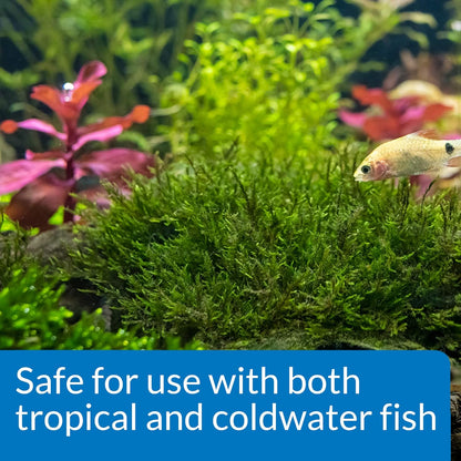 API Root TABS Freshwater Aquarium Plant Fertilizer 0.4-Ounce 10-Count Box,Tablets