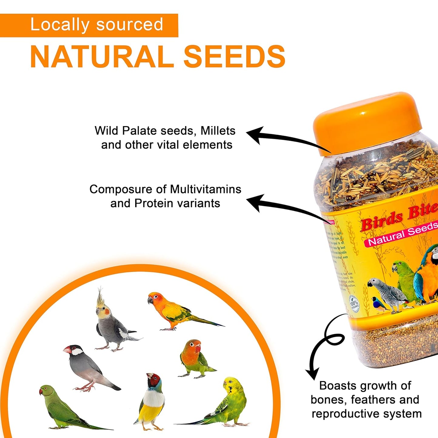 SF+ Natural Seeds Birds Bite | 1KG | Bird Food for All Birds Like Love Birds, Cockteils, Finches, Conures, Parrots, Macaws, Senegals, Parrots