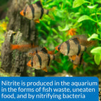 API Nitrite Aquarium Water Quality Test Kit, 150 Gram, 1 Piece