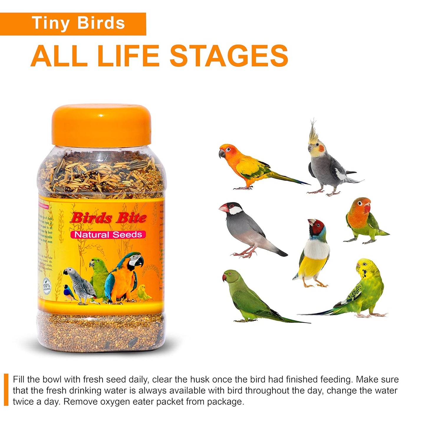 SF+ Natural Seeds Birds Bite | 1KG | Bird Food for All Birds Like Love Birds, Cockteils, Finches, Conures, Parrots, Macaws, Senegals, Parrots