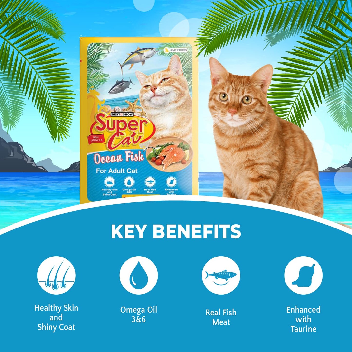TUNAI SUPERCAT Ocean Fish Wet Gravy Daily Diet Food for Adult CAT (Pack of 12X80g) with The Goodness of Protein & Fat Rich Tuna and Taurine, Supports Healthy Skin Coat and Boost Instant Energy