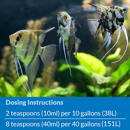 API Quick Start Freshwater and Saltwater Aquarium Nitrifying Bacteria 4-Ounce Bottle