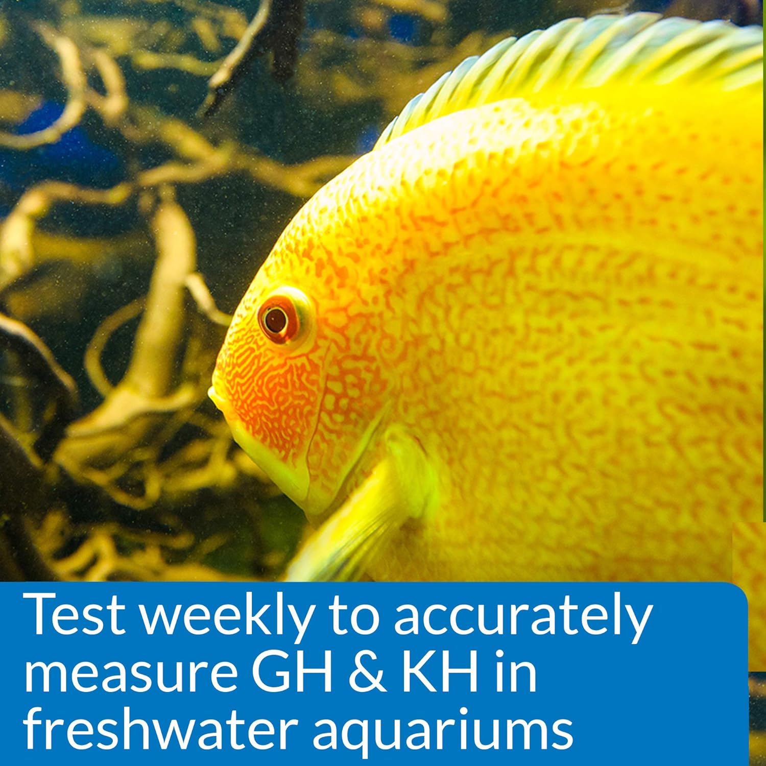 Aquarium Pharmaceuticals, API, MARS Fishcare Gh and Kh Test Kit
