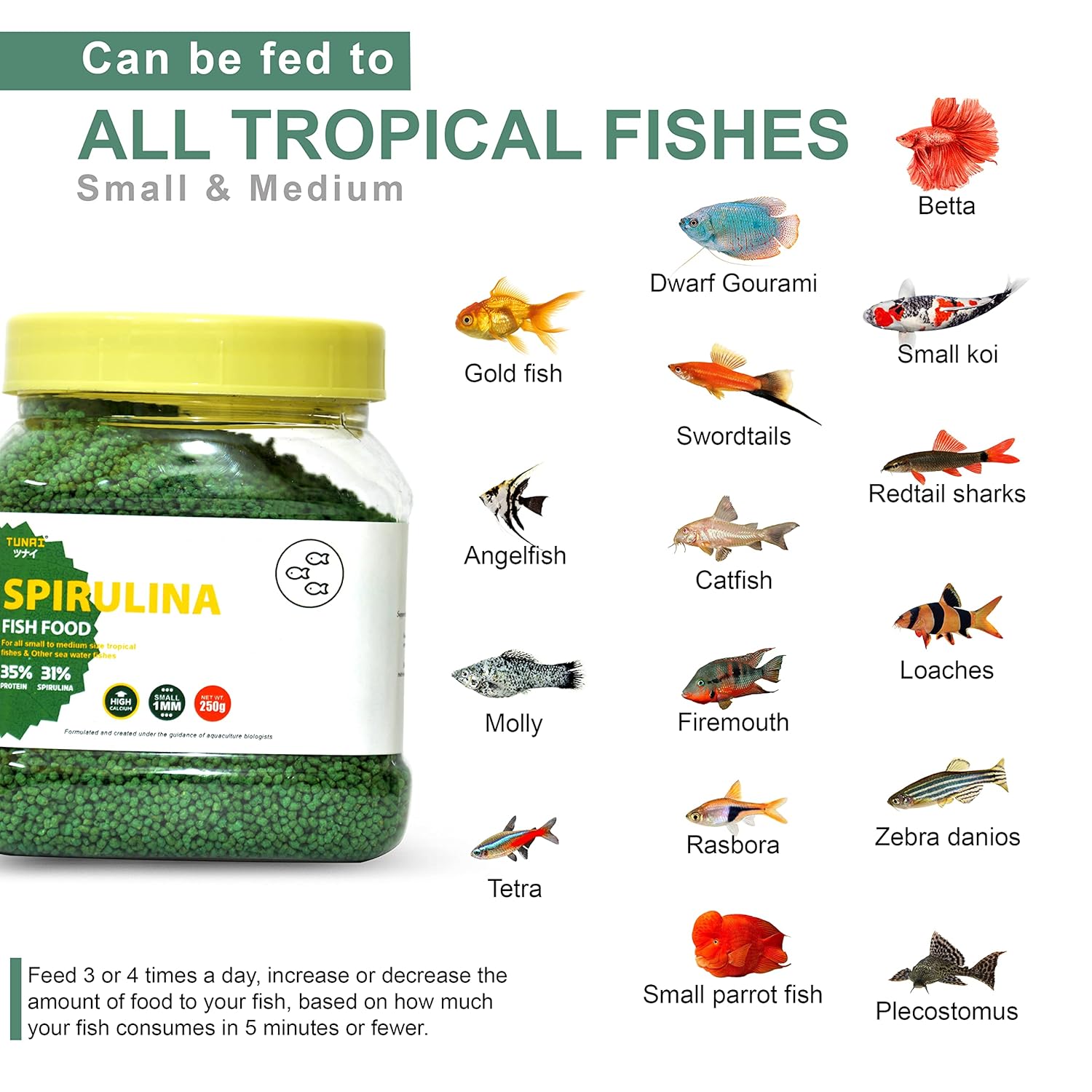 TUNAI 31% Spirulina Optimum Choice Fish Food |250G| Fish Feed for All Medium & Adult Tropical Fish |1Mm Pellets|, Better Color & Growth, 1 Count