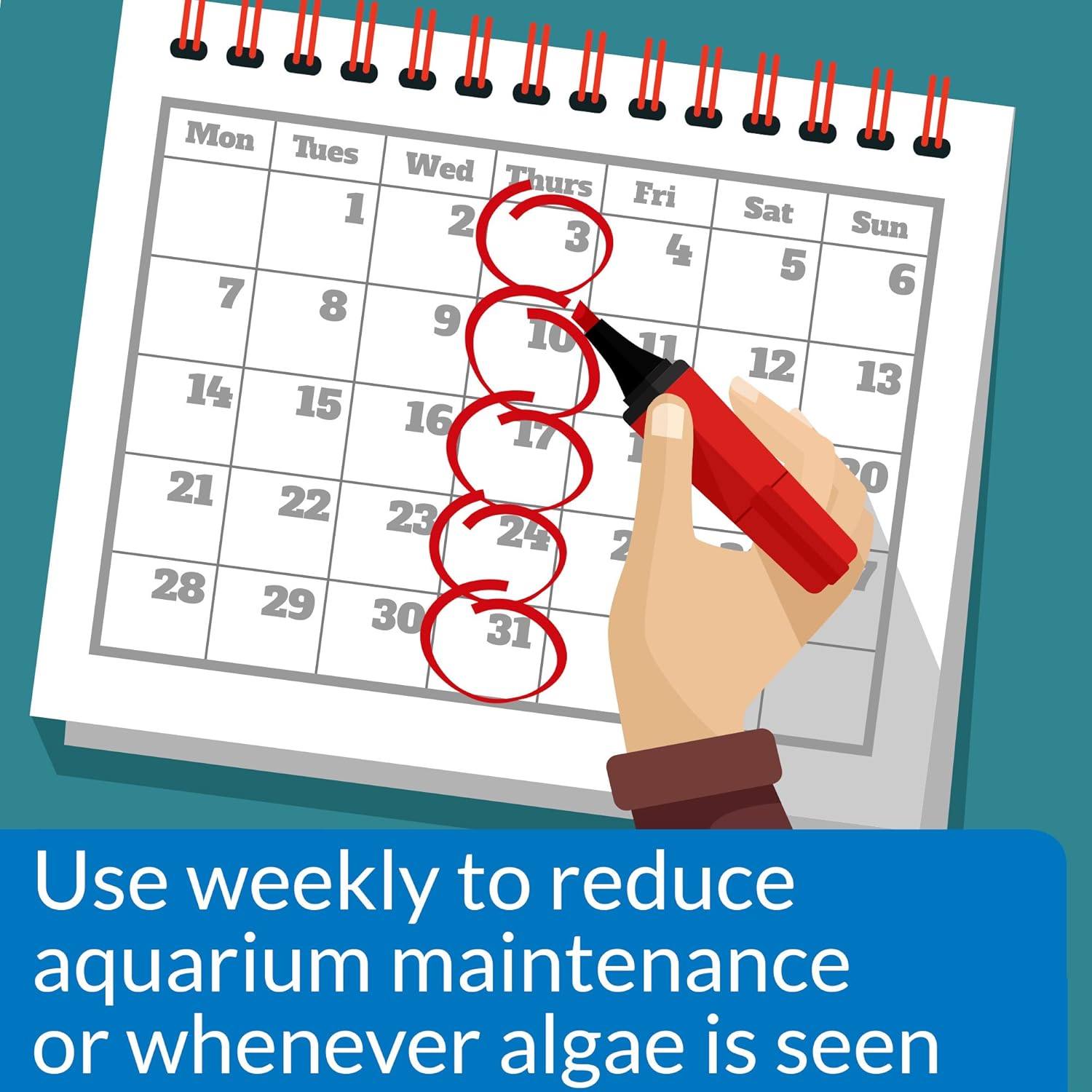 API Algaefix Algae Control (16 oz)