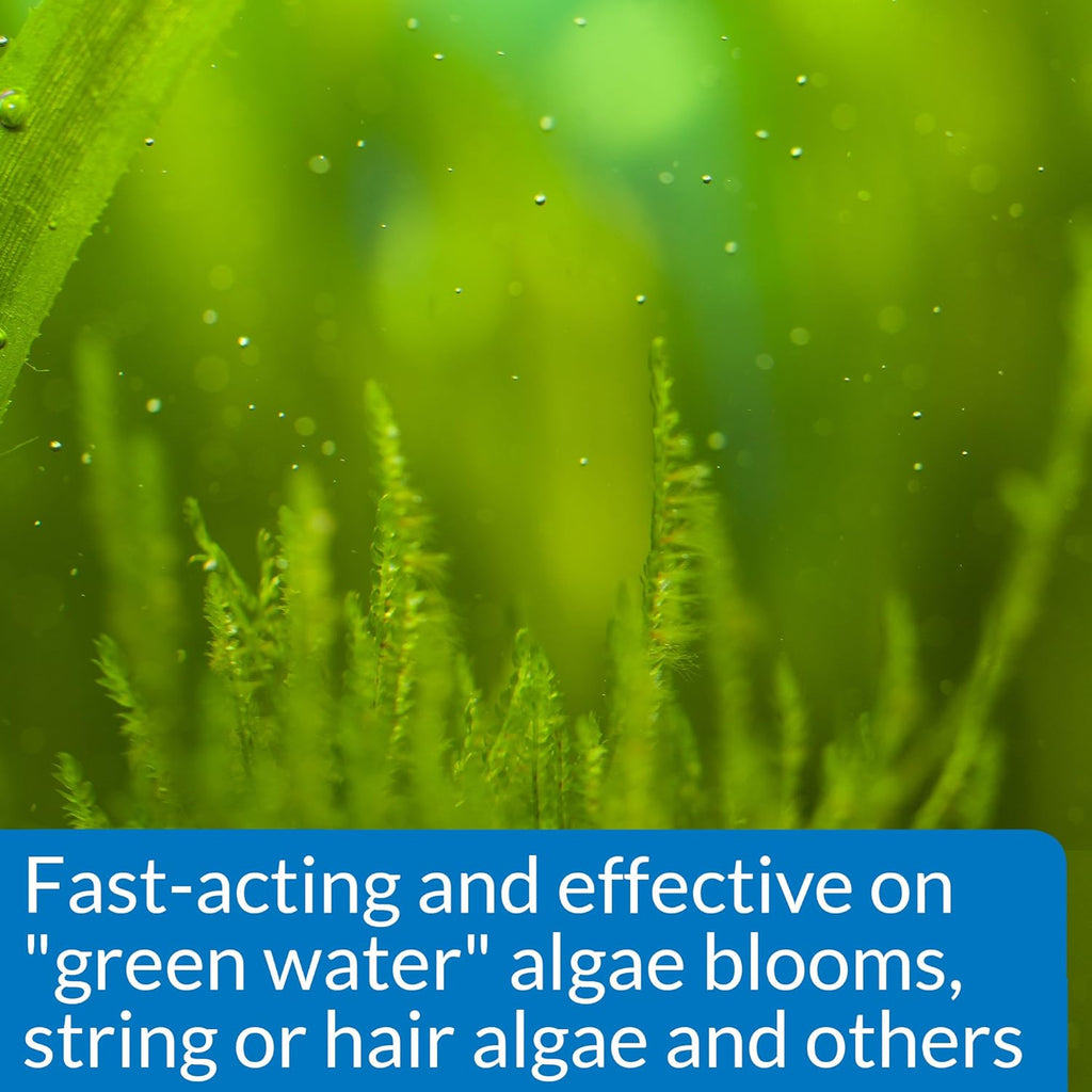 API Algaefix Algae Control (16 oz)