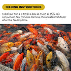 SF+ Star Bite Economy Fish Food | for All Tropical and KOI Fishes | Enhances Color Growth in Fish | Floating Pellets (500gms, Floating Pellets)