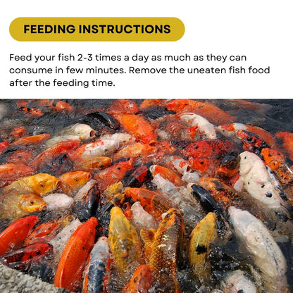 SF+ Star Bite Economy Fish Food | for All Tropical and KOI Fishes | Enhances Color Growth in Fish | Floating Pellets (500gms, Floating Pellets)