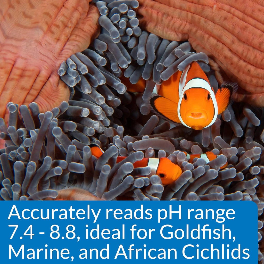 Aquarium Pharmaceuticals, Api, Mars Fishcare Api High Range Ph Test Kit for Aquariums