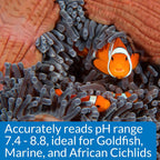 Aquarium Pharmaceuticals, Api, Mars Fishcare Api High Range Ph Test Kit for Aquariums