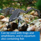 API Turtle Water Conditioner for Aquarium, 4-Ounce