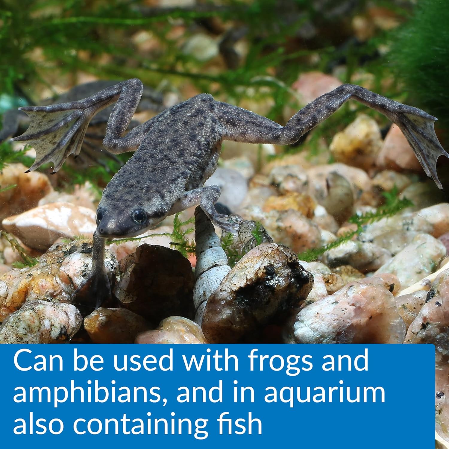 API Turtle Water Conditioner for Aquarium, 4-Ounce