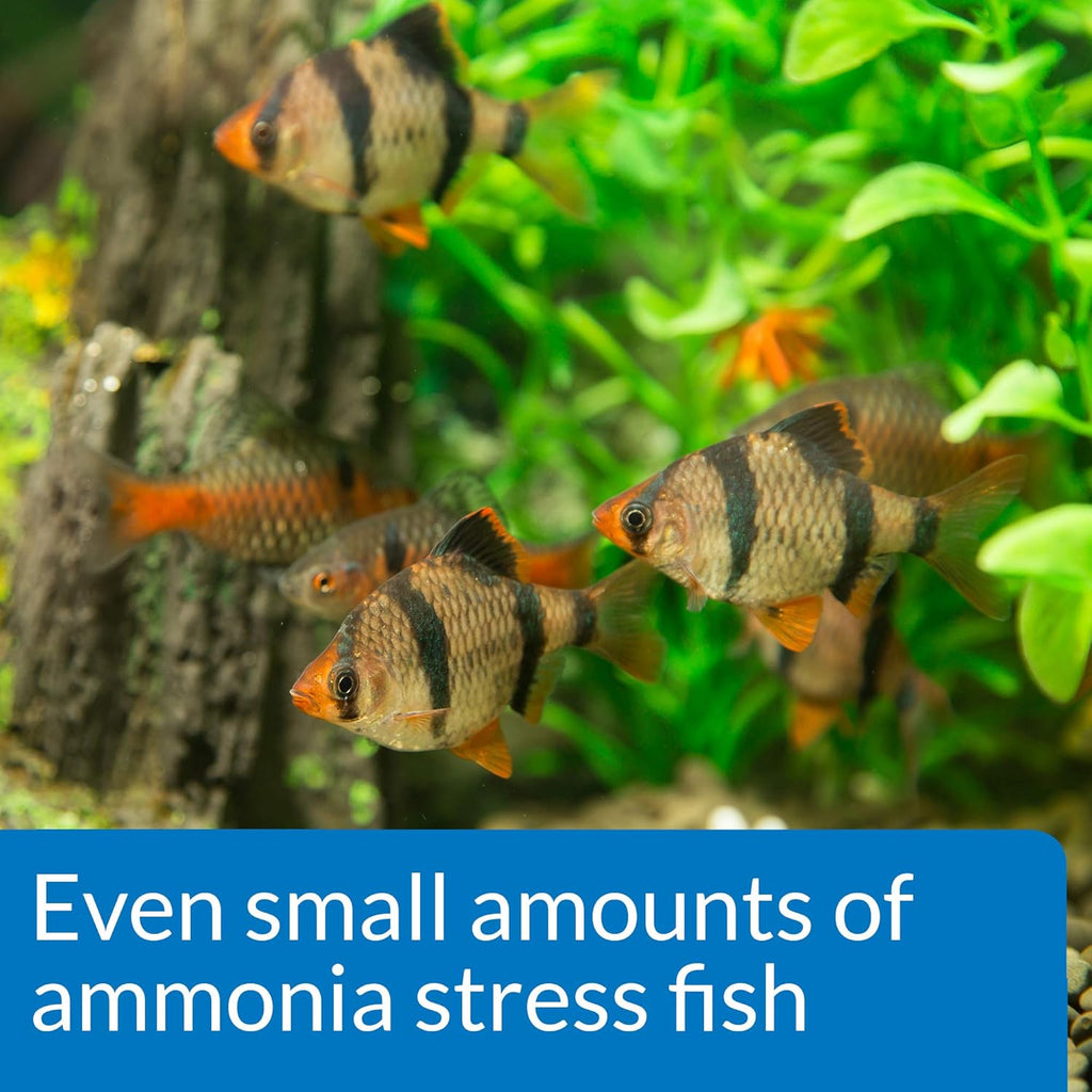 API Ammonia Test Kit for Aquarium, 1 Piece