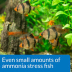 API Ammonia Test Kit for Aquarium, 1 Piece