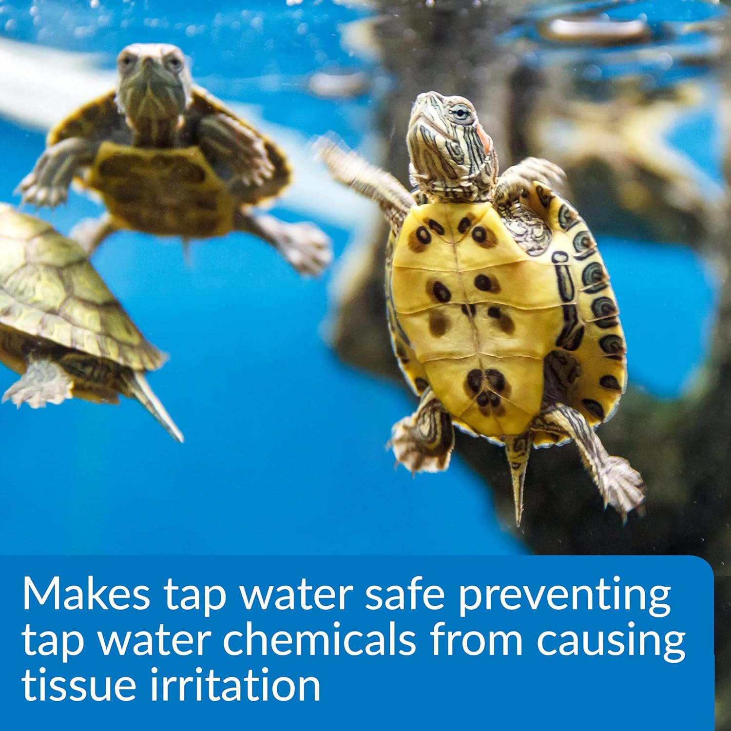 API Turtle Water Conditioner for Aquarium, 4-Ounce
