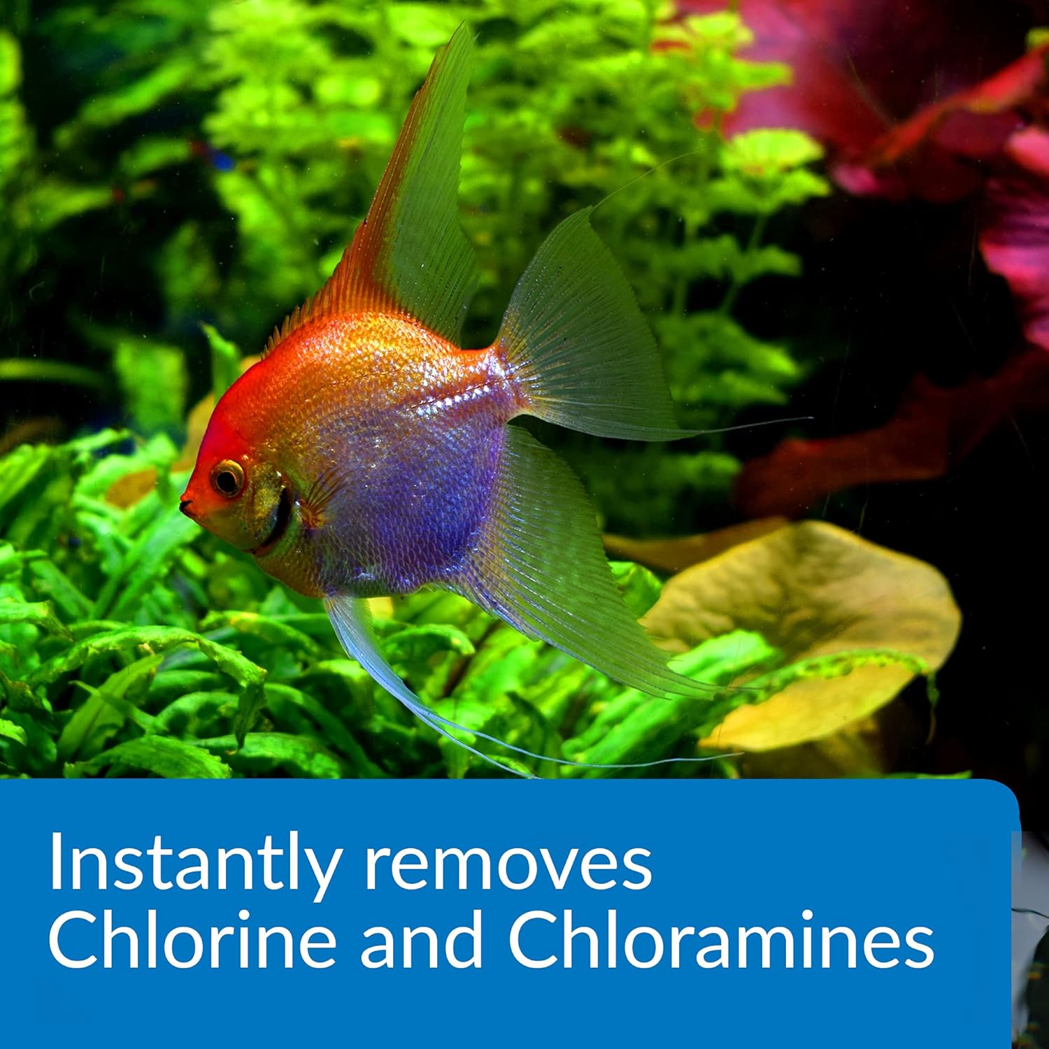 API Ammo-Lock Ammonia Detoxifier, 454 g