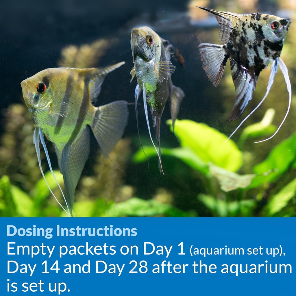 Api Aquarium Start Up Pack with Stress Coat and Quick Start Water Conditioner for Aquariums