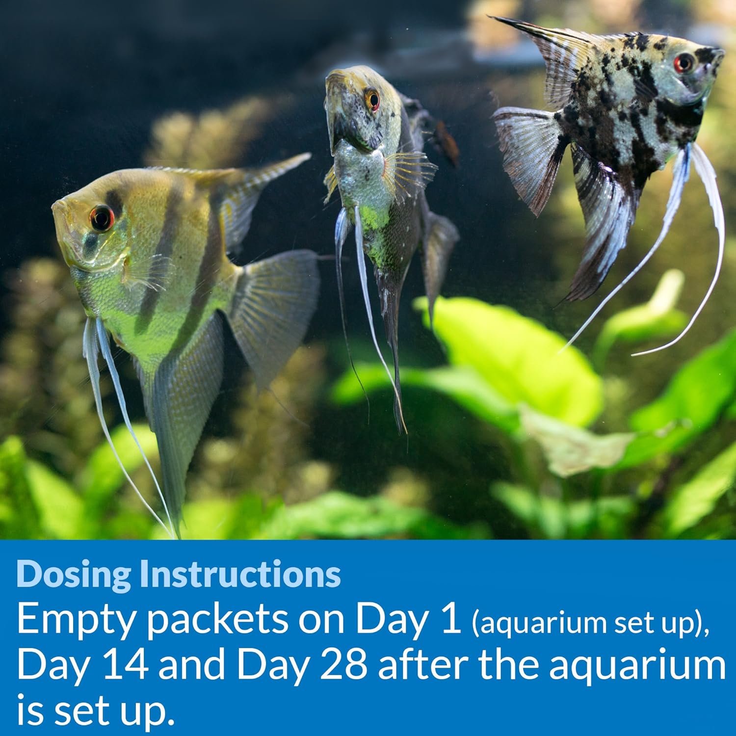 Api Aquarium Start Up Pack with Stress Coat and Quick Start Water Conditioner for Aquariums