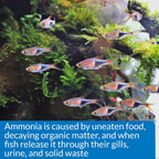API Ammonia Test Kit for Aquarium, 1 Piece